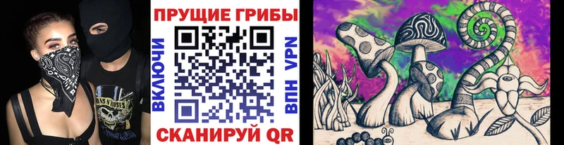 Галлюциногенные грибы Cubensis  купить  сайты  Павлово 